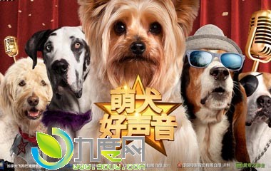 《萌犬好声音/Pup Star》电影故事介绍,萌犬好声音上映时间及剧照